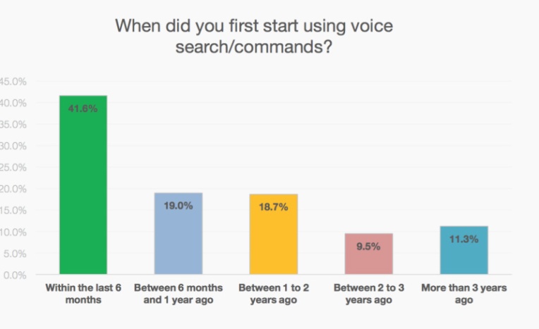first voice search usage
